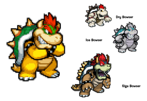 SMBHotS - Bowser's forms