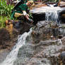 Forest Waterfall...