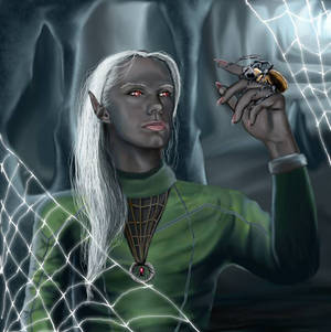 Drow and his pet