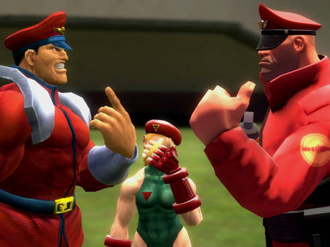 M.bison meets M.bison?