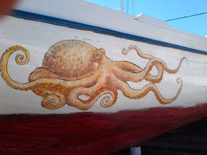 boat octopus