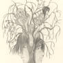 Rauni's Rowan