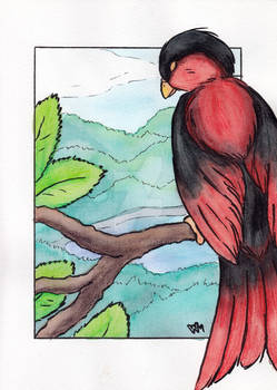 Watching the horizon