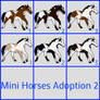 Mini Horses Adoption 2