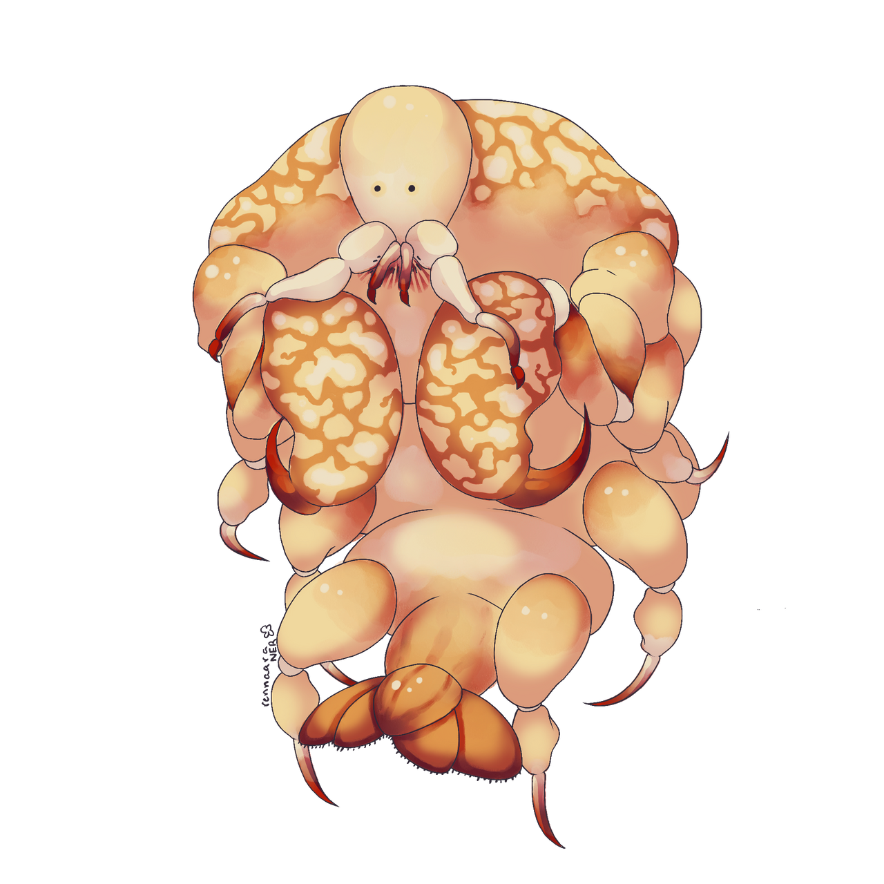 Crustacean Monster Free To Use Dnd Token By Rennaara On Deviantart Crustacean Monster Free To Use Dnd Token By Rennaara On Deviantart