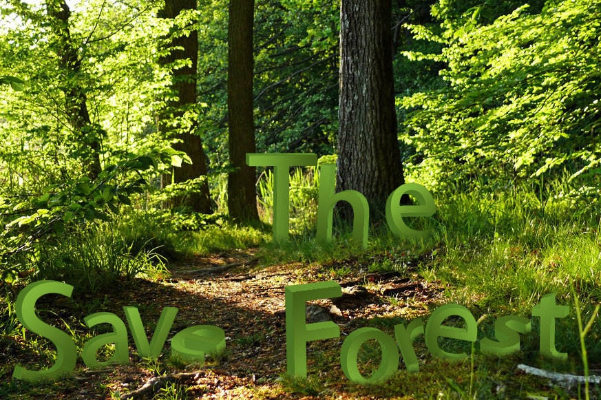 Save the Forest