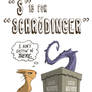 S Is For Schrodinger