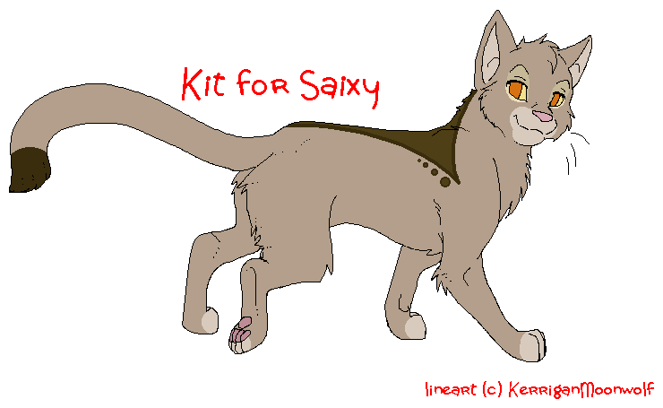 Kit for Saixy