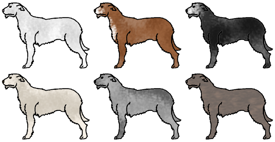 Irish Wolfhounds - All Open -