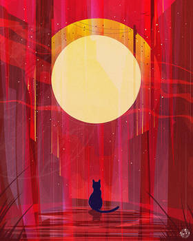 New Dawn