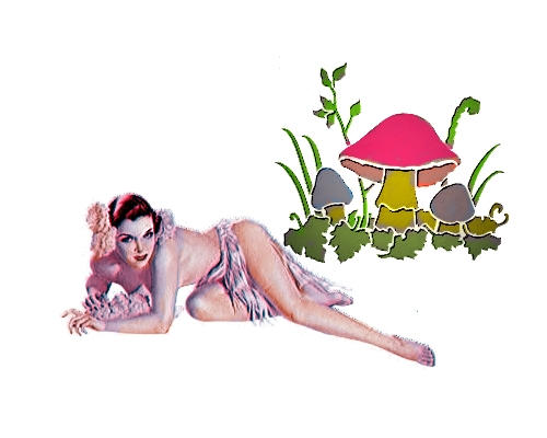 pin up cogumelo