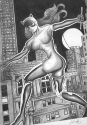 Classic Catwoman with full background - Commission