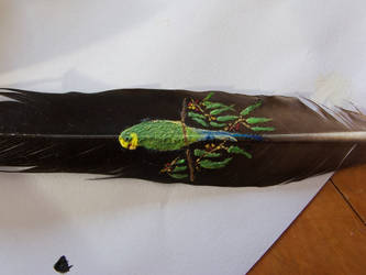 Budgie on Feather