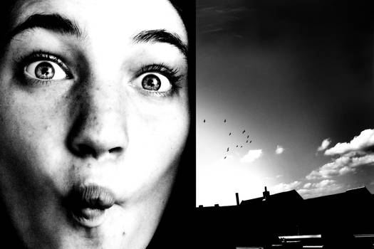 Weird Faces And Birds