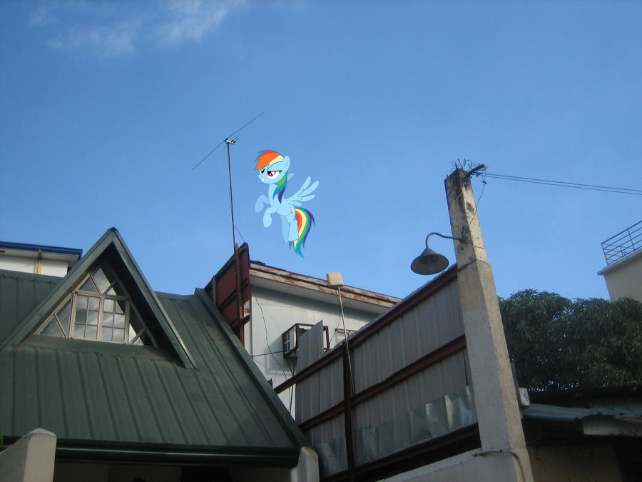 Rainbow Dash above