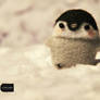needle felt penguin (forsale)