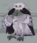 Night owl (adopt auction) [CLOSED]