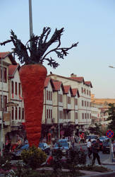 Carrot / Havuc in Beypazari, Ankara, Turkey