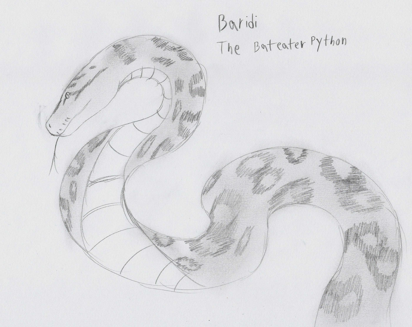 Baridi the Bateater Python by Fushigi-Okami on DeviantArt