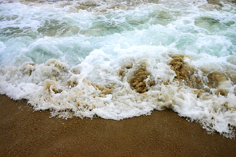 Beach Scape