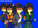 Reunited - Valter Bandicoot