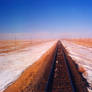 Mongolian Tracks
