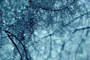 A Thousand Tears by ConH A Thousand Tears by ConH