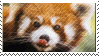 Red Panda Stamp