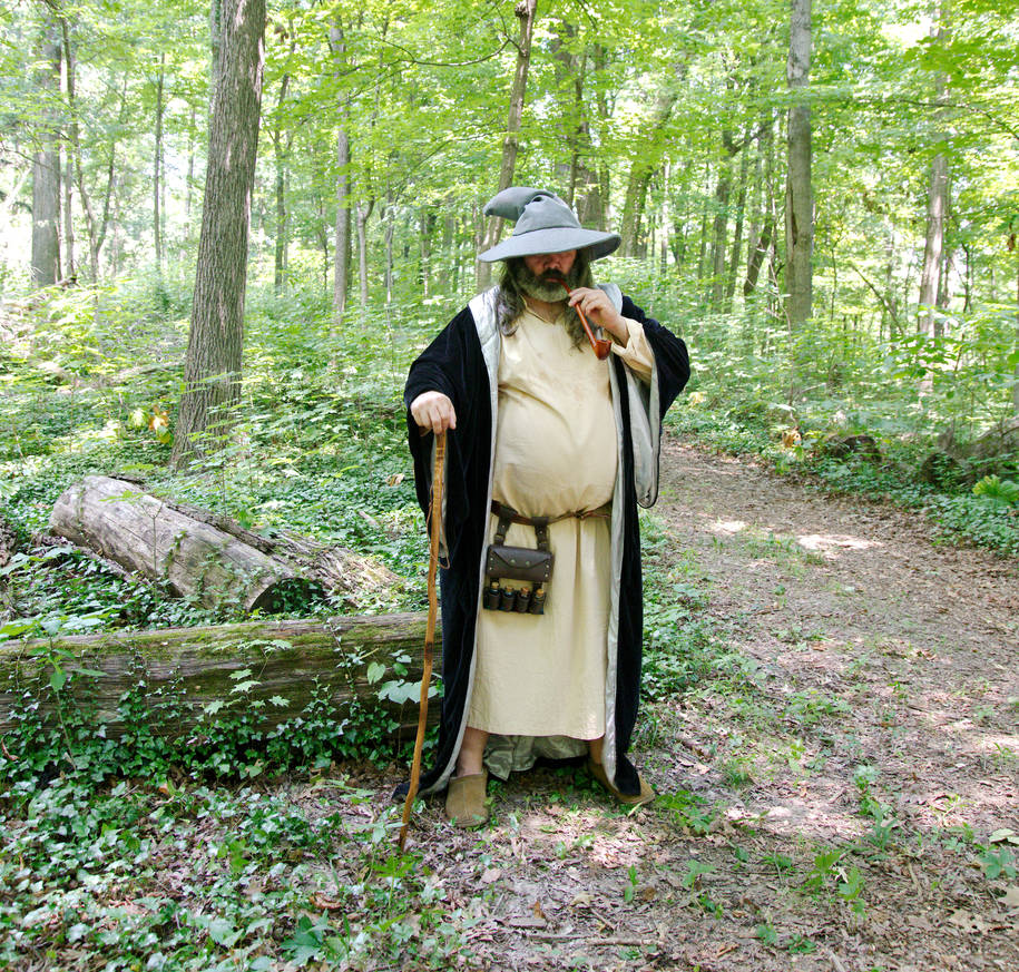 Fat Wizard Frog fat wizard by Atomic-Dolls on DeviantArt
