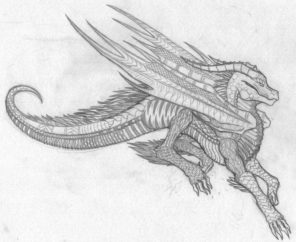 Zentangle Dragon By Silverseer1 On DeviantArt