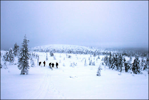 Skiing and snow walking at Riisitunturi