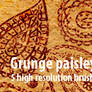 Grunge paisleys