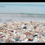 Shells