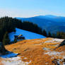 Carpathians