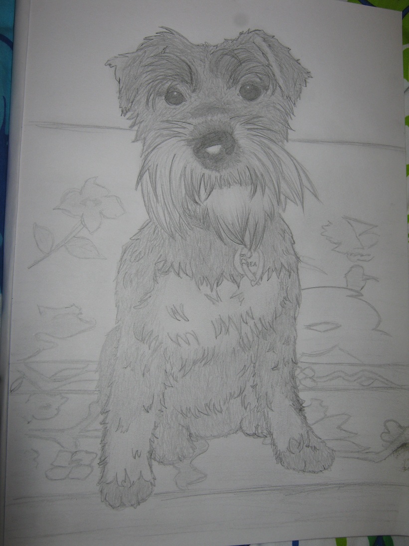 Pet Portrait sketch commission