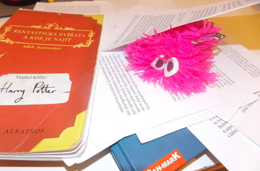 Pygmy Puff and book