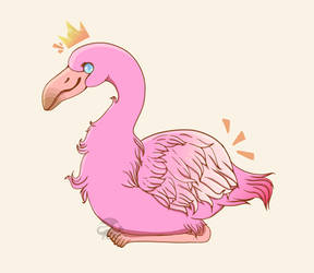 Flamingo Prince