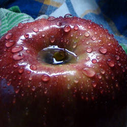 wet apple 5