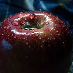 wet apple 6