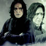 Snape header