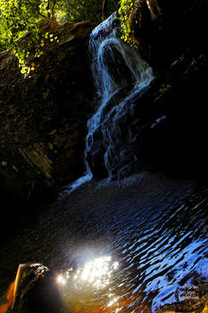 Dawn at the Old Dam 8004