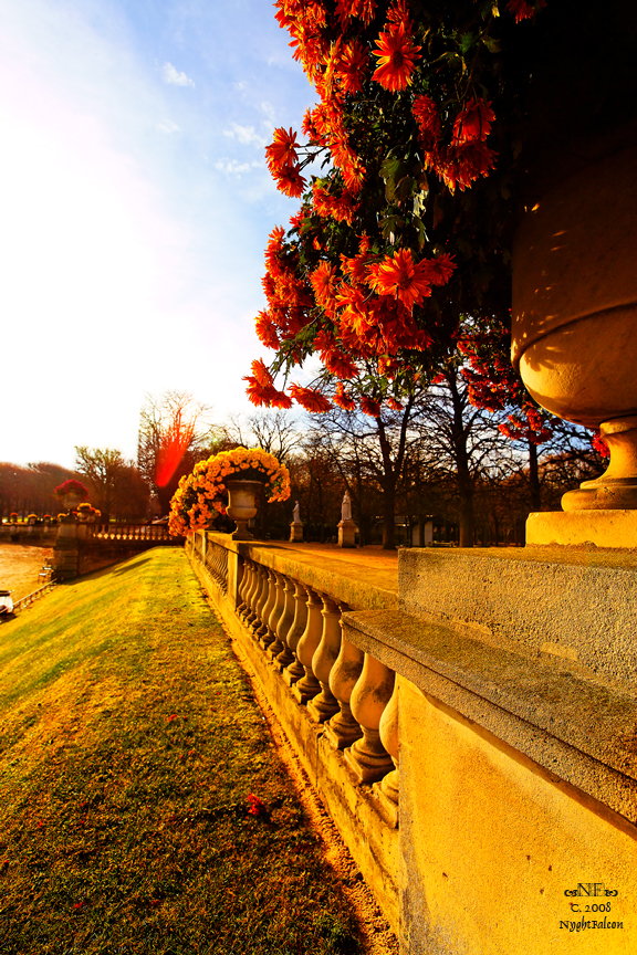 Autumn in Paris 3637