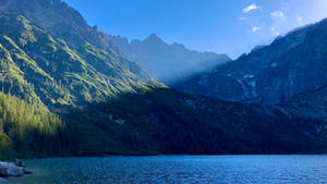 tatry mok