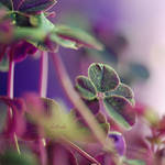 927 by kat4nka
