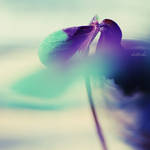 1070 by kat4nka
