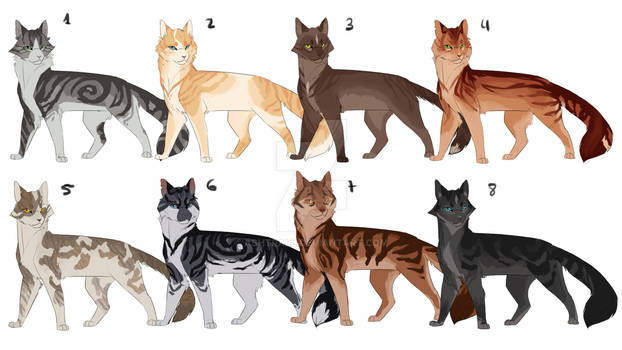 Cats Adopts (OPEN) 2/8