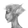 sketch