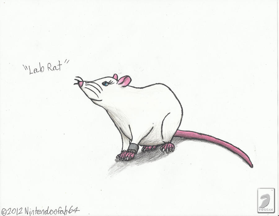 Lab Rat Deviantart Lab Rat by Nintendoofah64 on DeviantArt