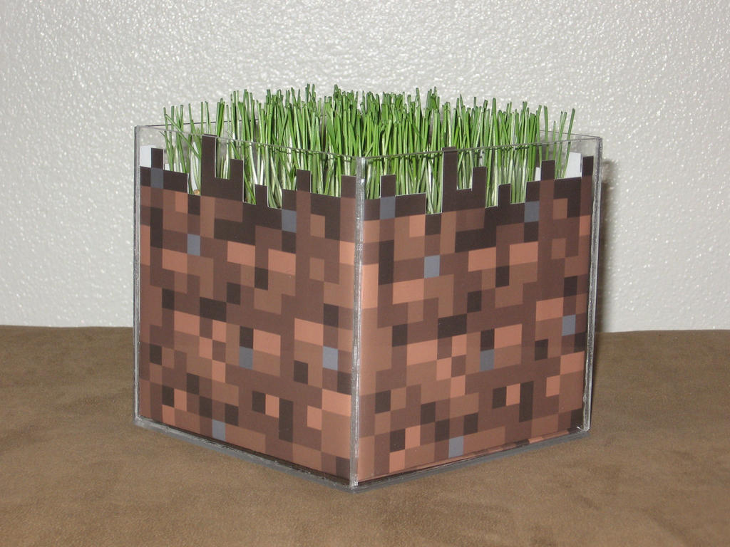 Minecraft Dirt Block Irl With Live Grass By Goodash03 On Deviantart