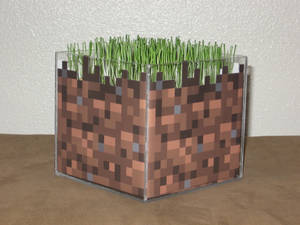 Minecraft Dirt Block IRL (with live grass)